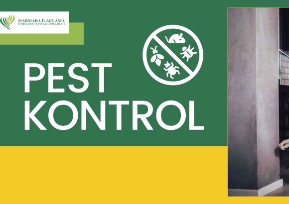 Pest Kontrol
